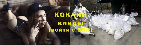кокс Бородино
