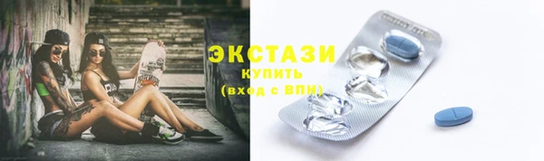 гидра Богородск
