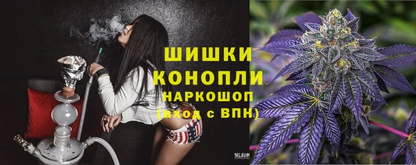 гидра Богородск