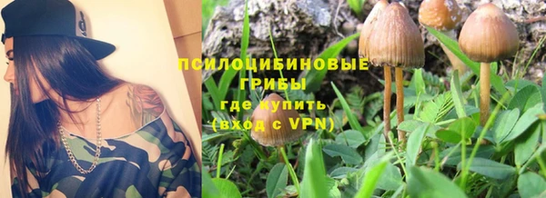 ALPHA PVP Баксан