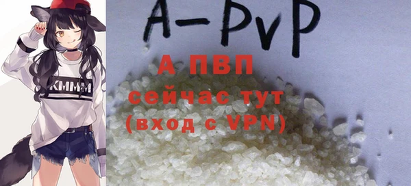 гидра Богородск